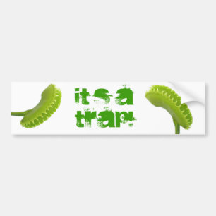 Venus Fly Trap Bumper Sticker