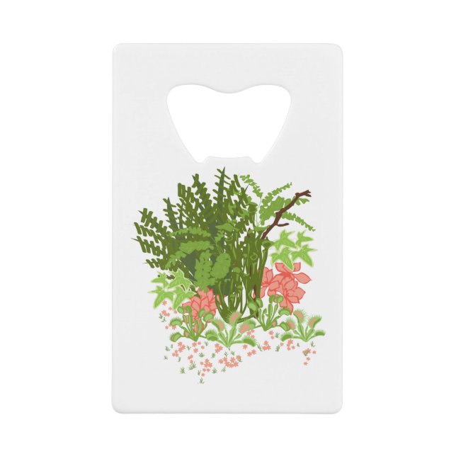 venus fly trap garden (Front)