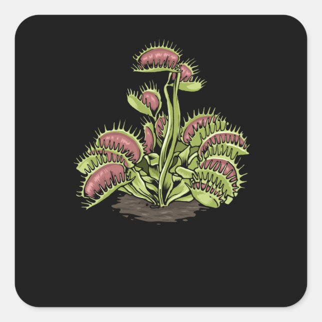 Venus Fly Trap Plant Carnivorous Plant Venus Fly Square Sticker (Front)