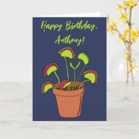 Venus Fly Trap Plant Illustration Personalised