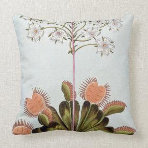 Venus Fly-trap, plate 84, from 'Collection Precieu Cushion