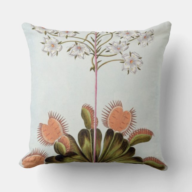 Venus Fly-trap, plate 84, from 'Collection Precieu Cushion (Front)