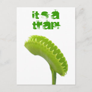 Venus Fly Trap Postcard