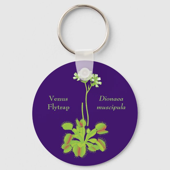 Venus Flytrap Botanical Art Key Ring (Front)