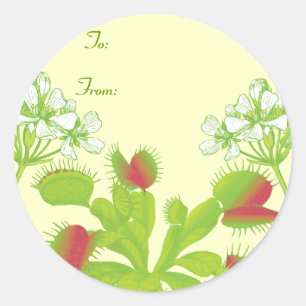 Venus Flytrap Gift Classic Round Sticker