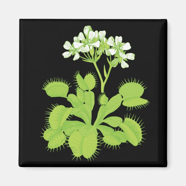 Venus Flytrap Magnet (Front)