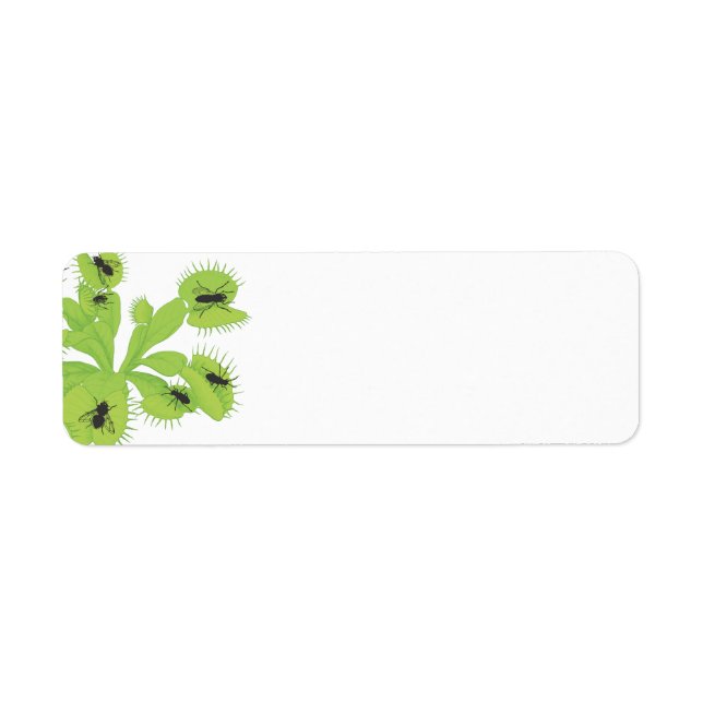Venus Flytrap with Flies Labels (Front)