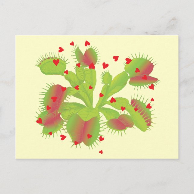Venus Flytrap with Hearts Postcard (Front)