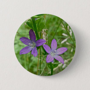 Venus Looking Glass Wildflower 6 Cm Round Badge