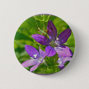 Venus Looking Glass Wildflower Floral 6 Cm Round Badge