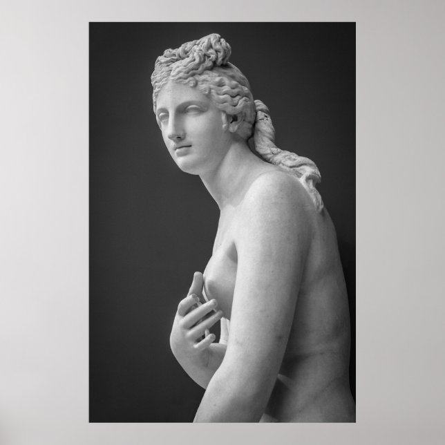 Venus Poster (Front)