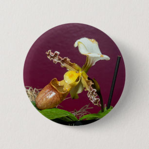 Venus Slipper Orchid 6 Cm Round Badge
