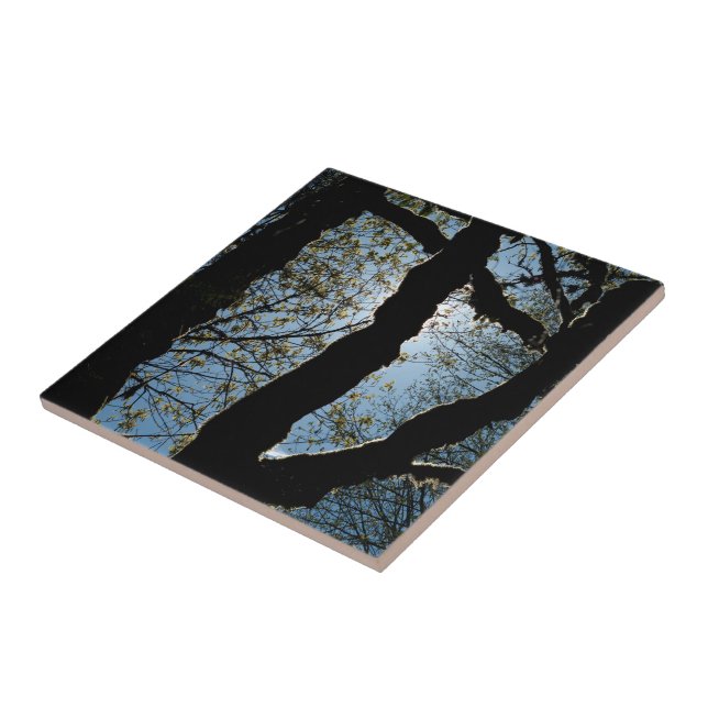 VER CERAMIC TILE (Side)
