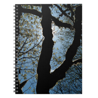 VER NOTEBOOK