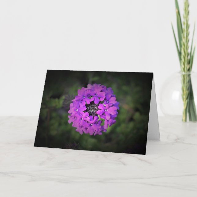 Verbena, card (Front)