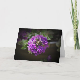 Verbena, card