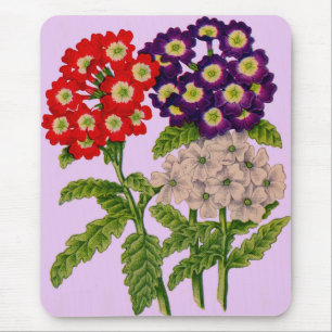 verbena flowers in red and purple mouse pad