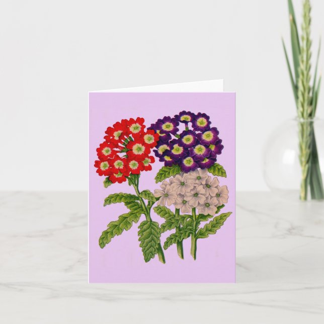 verbena flowers print note card (Front)