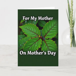 Verdant Mothers Day Leaves Card