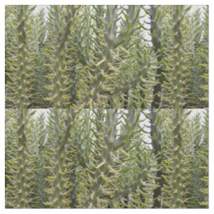 "Verdant Sentinels: The Prickly Majesty of Cactus Fabric