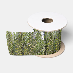 "Verdant Sentinels: The Prickly Majesty of Cactus Satin Ribbon