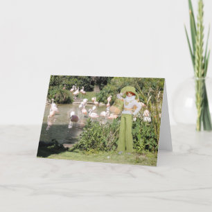 Verdi, Flamingos at the Houston Zoo Card