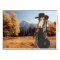 Verdi, Halfdome Meadow, Yosemite National Park