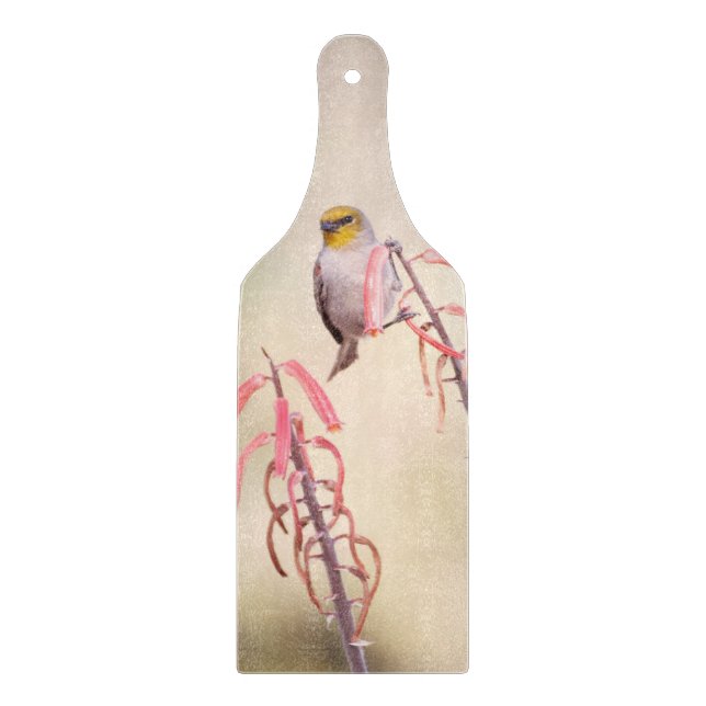 Verdin perched on penstemon cutting board (Front)