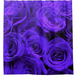 Veri peri periwinkle blue purple roses shower curtain