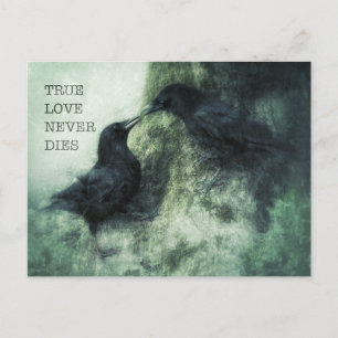 Verliebte Krähen True Love Never Dies Liebe Raben Postcard