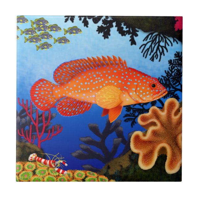 Vermilion Sea Bass Miniatus Grouper Tile (Front)