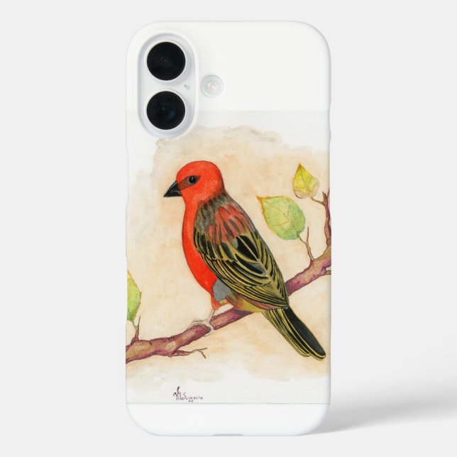 Vermillion Bird Finch Case-Mate iPhone Case (Back)