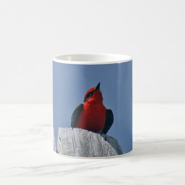 Vermillion Flycatcher against blue sky coffee mug (Center)