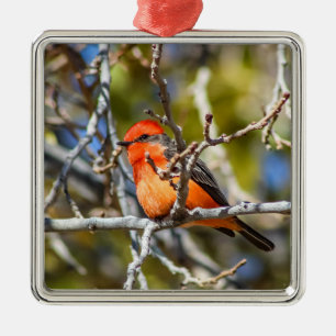 Vermillion Flycatcher Metal Ornament