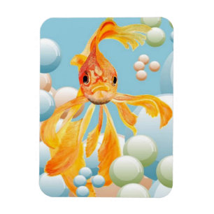 Vermillion Goldfish In Pastel Bubble Water Magnet
