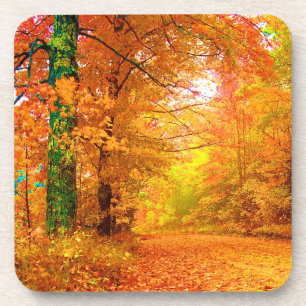 Vermont Autumn Nature Landscape Coaster