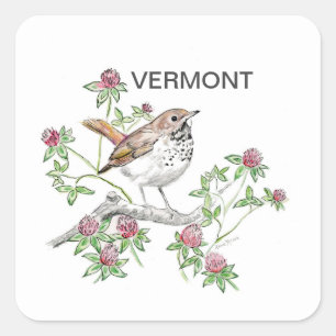 Vermont bird flower square sticker