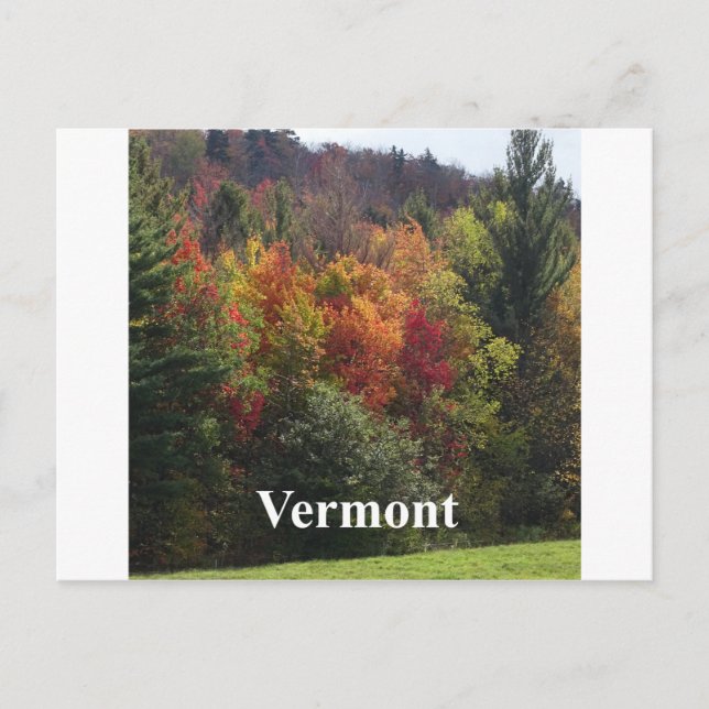 Vermont Colour Postcard (Front)