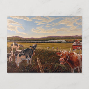 Vermont Cow Postcard