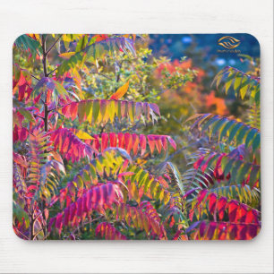 Vermont Foliage Mouse Pad