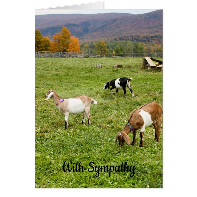 Vermont Goats Sympathy Card (Front)
