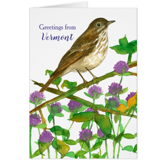 Vermont Hermit Thrush Clover Hello Friend (Front)