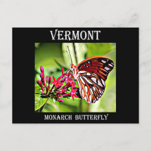 Vermont Monarch Butterfly Postcard