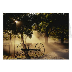 Vermont, Northeast Kingdom, Sunlight falling