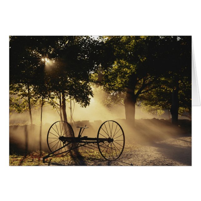 Vermont, Northeast Kingdom, Sunlight falling (Front Horizontal)