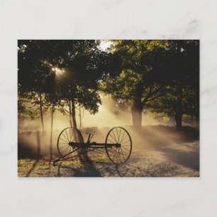 Vermont, Northeast Kingdom, Sunlight falling Postcard