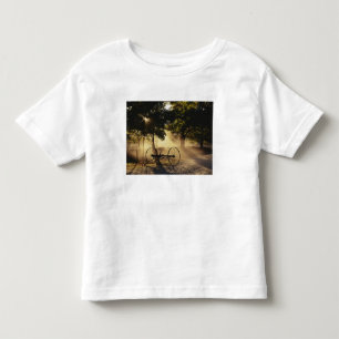 Vermont, Northeast Kingdom, Sunlight falling Toddler T-Shirt