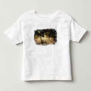 Vermont, Northeast Kingdom, Sunlight falling Toddler T-Shirt