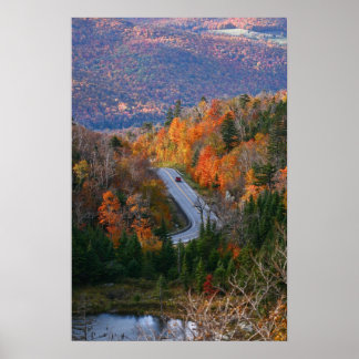 vermont overlook trees autumn poster