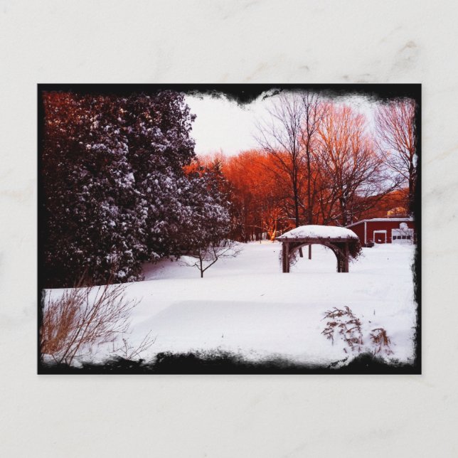 Vermont Snow Day 2011 Postcard (Front)